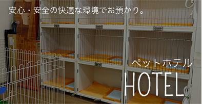 安心・安全の快適な環境でお預かり。「ペットホテル」HOTEL