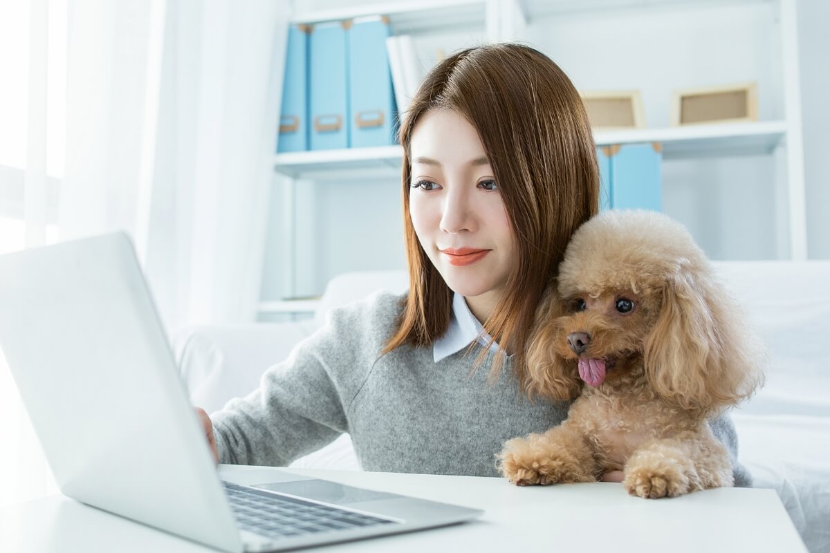 購入時の飼い方レクチャーのビデオ通話の導入(ご希望の方)
