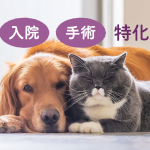 動物医療保険って現在１４社あります！！どこが良いの！？